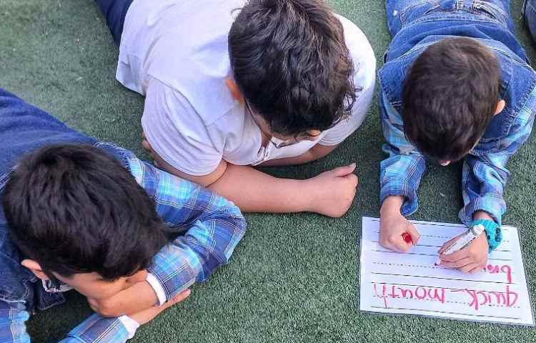 فعالیت های زبانی 3