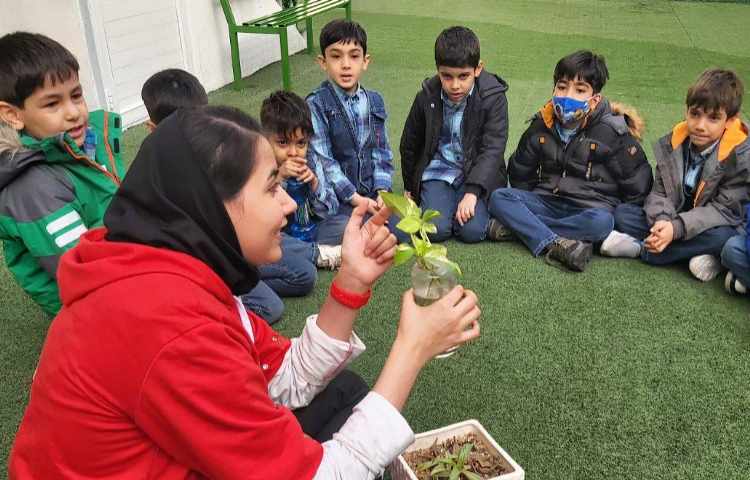 فعالیت های زبانی