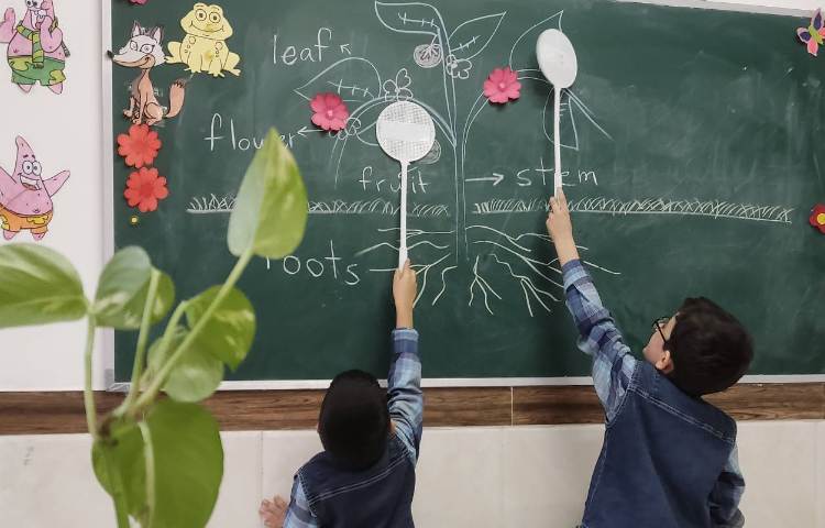 فعالیت های زبانی