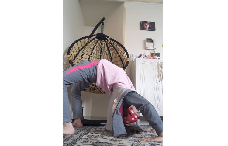 فعالیت‌های هفته ملی(ارکیده 2) 17