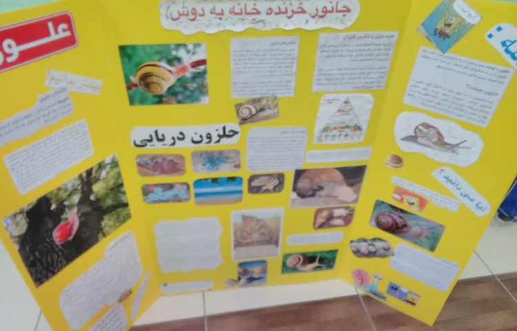 فعالیت های هفته ملی علوم (ارائه پوستر ) 5