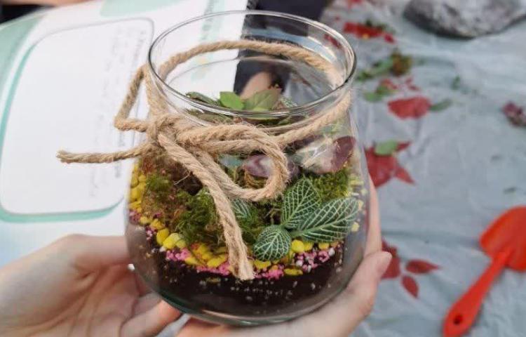 فعالیت های واحد زبان در هفته ملی علوم 7