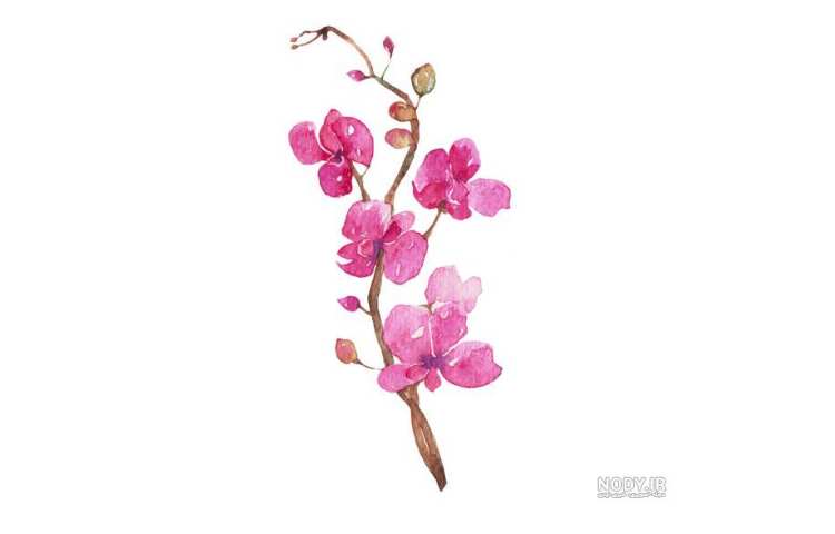 فعالیت های پیش دبستان 2