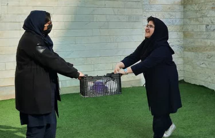 فعالیت های کلاسی بدون دیوار 5