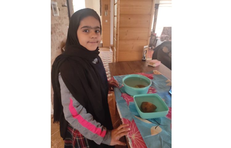 فعالیت‌های کلاس سیب زمینی چروکیده 2