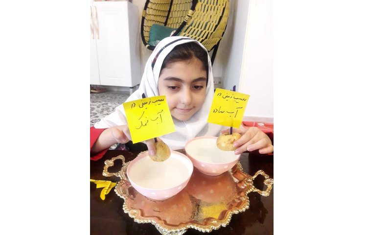 فعالیت‌های کلاس سیب زمینی چروکیده 4