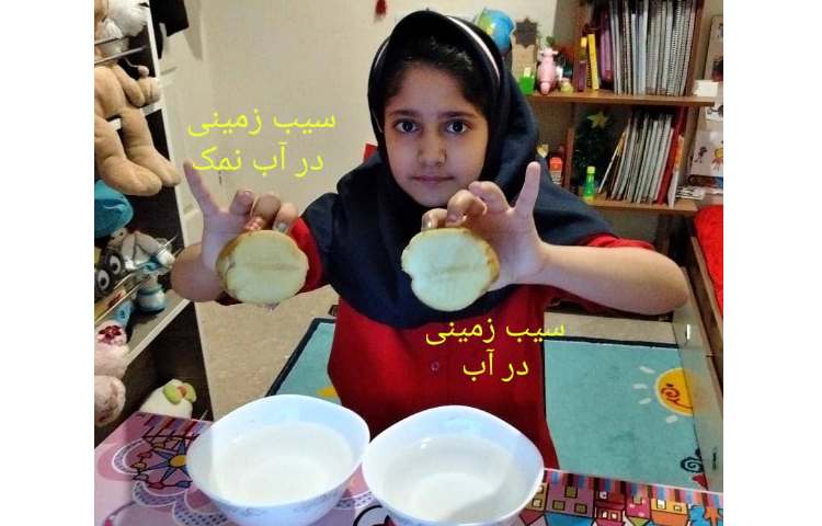 فعالیت‌های کلاس سیب زمینی چروکیده 5