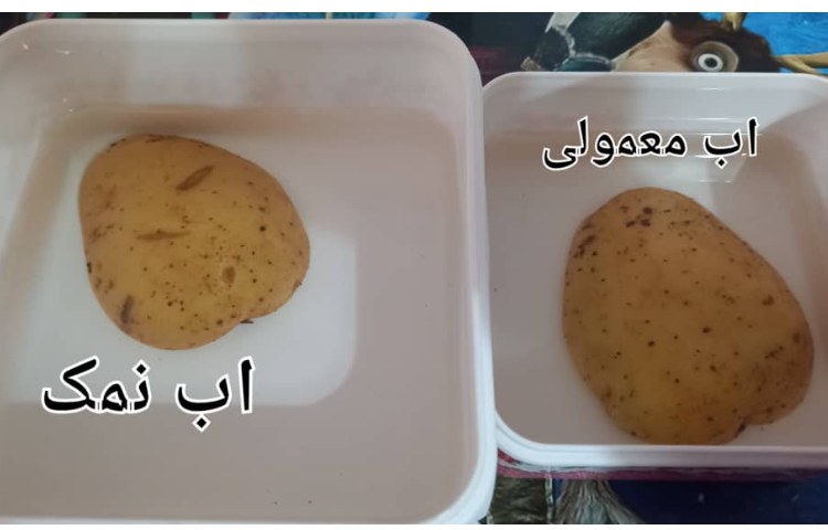 فعالیت‌های کلاس سیب زمینی چروکیده 7