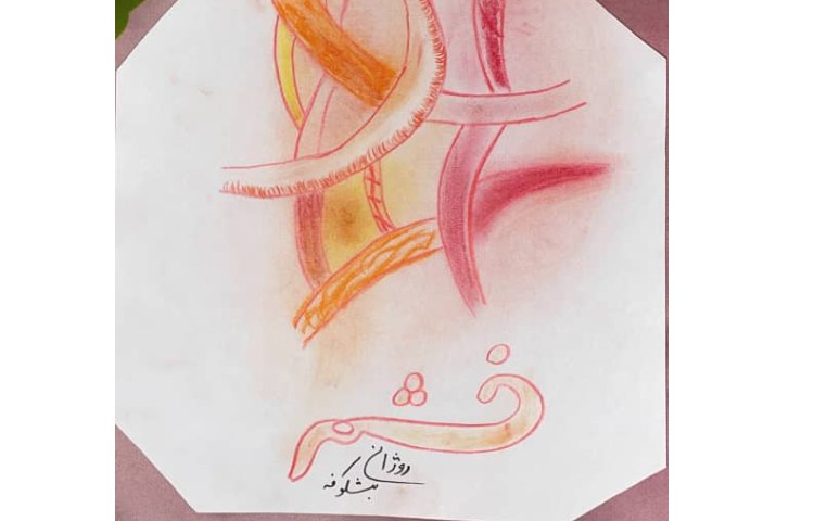 فعالیت های کلاس نرگس 2 در روز اول هفته ملی علوم 6