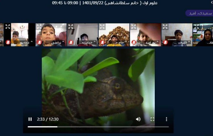 :فعالیت های کلاس های آنلاین پسران پر انرژی علوی 3