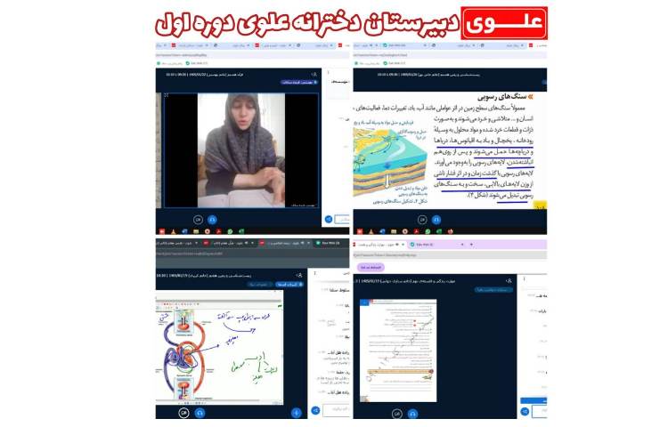 فعالیت هفته