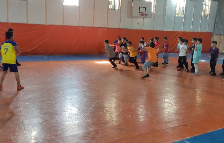 فعالیت ورزشی سالن دارائی 4