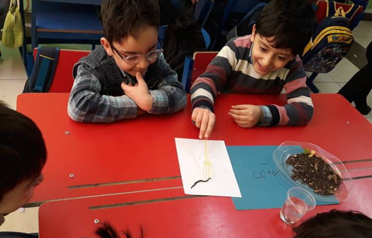 :فعالیت پژوهشی کرم خاکی (هفته علوم) 1