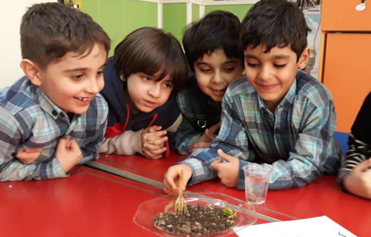 :فعالیت پژوهشی کرم خاکی (هفته علوم) 2