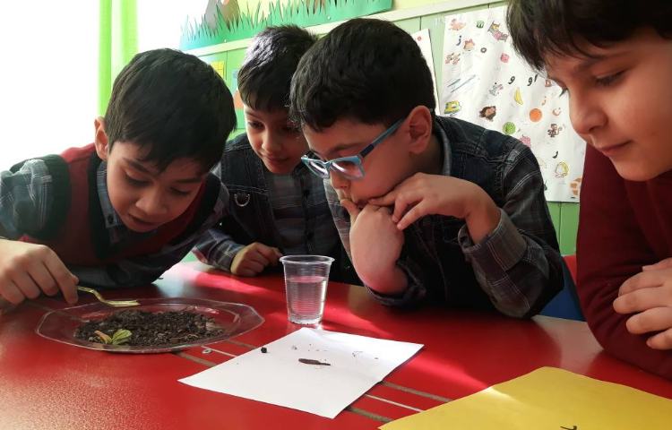 :فعالیت پژوهشی کرم خاکی (هفته علوم) 4