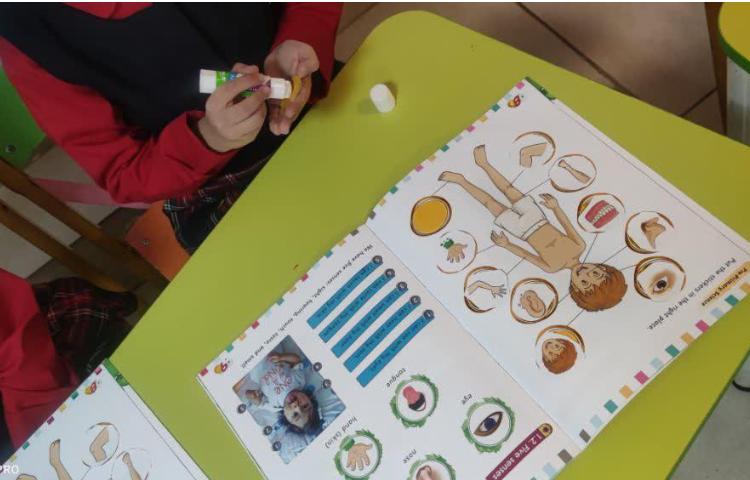 فعالیت کتاب علوم پیش دبستان 1