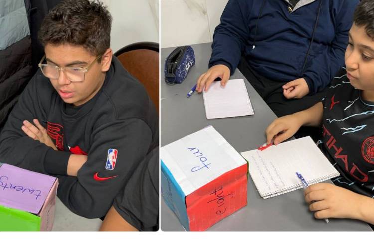 فعالیت کلاس های زبانی (دوره اعداد)