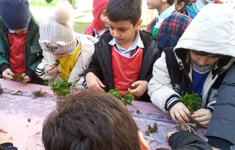 فعالیت گروه های چهارخانه به مناسبت روز درختکاری 27