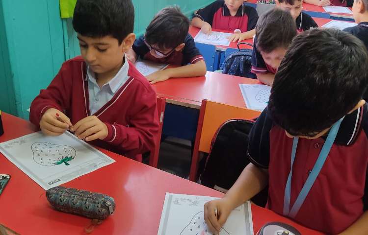 فعالیت Fine motor skills 1