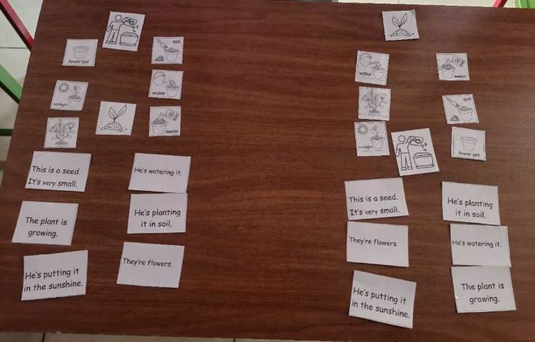 فعالیت - freer - present continues