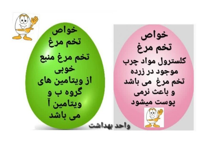 فواید مصرف تخم مرغ -بهداشت 4