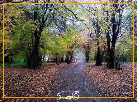 آبشار و روستای برگ جهان