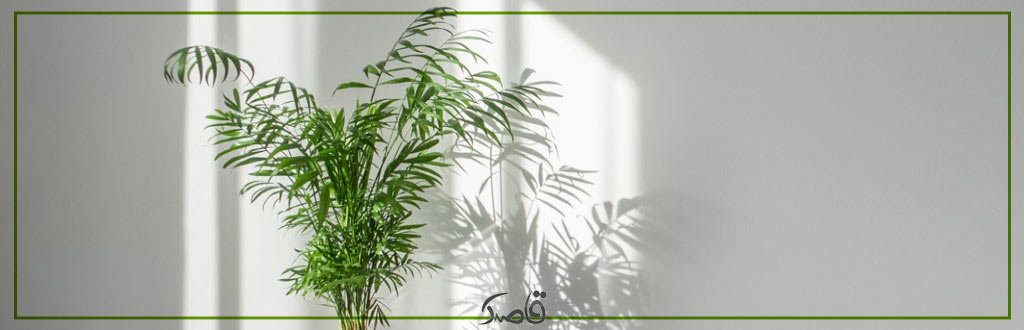 قاصدک آذر 1402