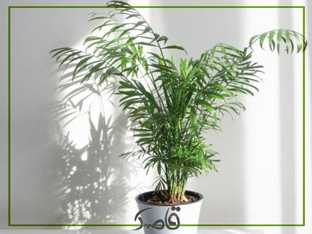 رطوبت و دما