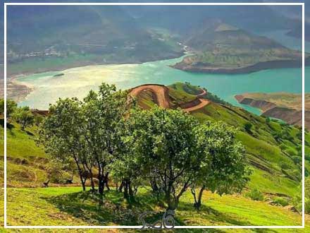 قاصدک اردیبهشت 1403