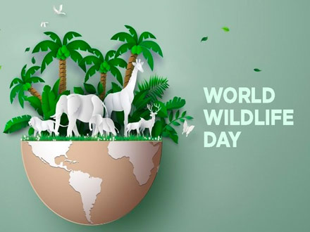 World wildlife day
