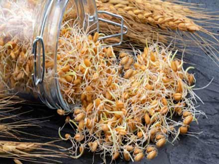 قاصدک اسفند 1401