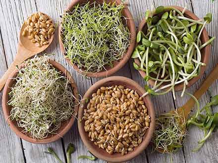 خواص سمنو برای کودکان