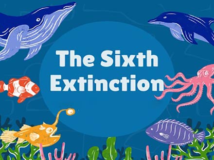 بین‌المللی