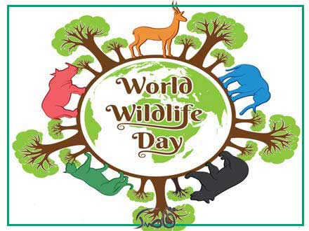 World wildlife day