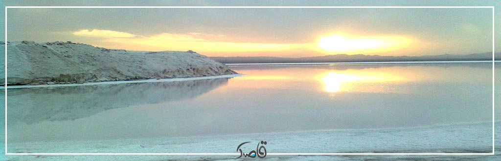 قاصدک بهمن 1402