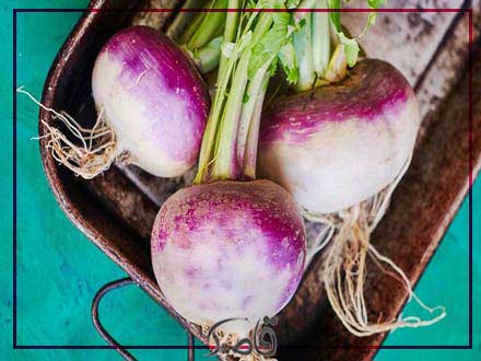 قاصدک دی 1402