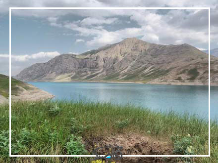 پوشش گیاهی و جانوری دشت لار