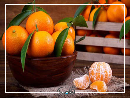 قاصدک مهر 1402