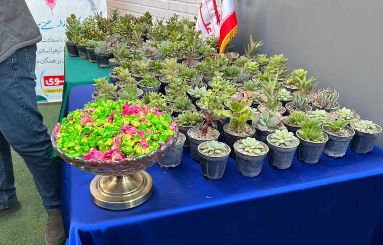 قدردانی از مادران عزیز 7