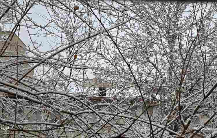 لذت آموزش در یک روز برفی 3