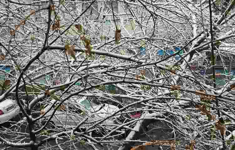 لذت آموزش در یک روز برفی 4