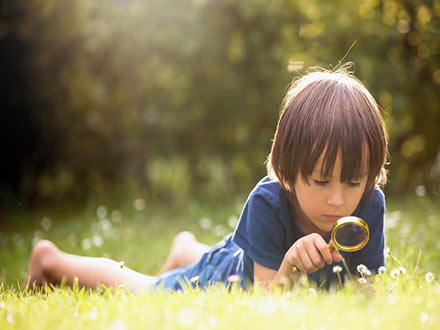 تقویت کنجکاوی