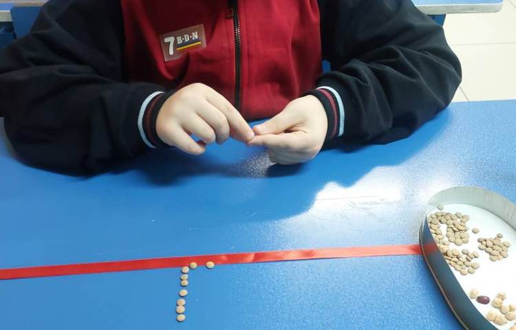 لوحه نویسی با حبوبات 2