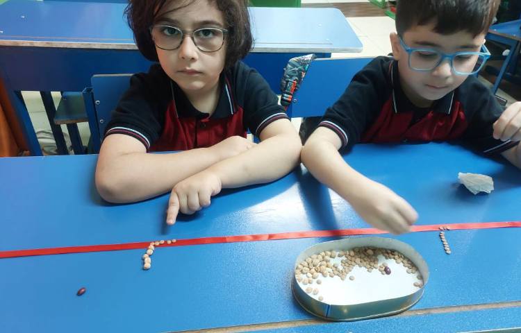 لوحه نویسی با حبوبات 4