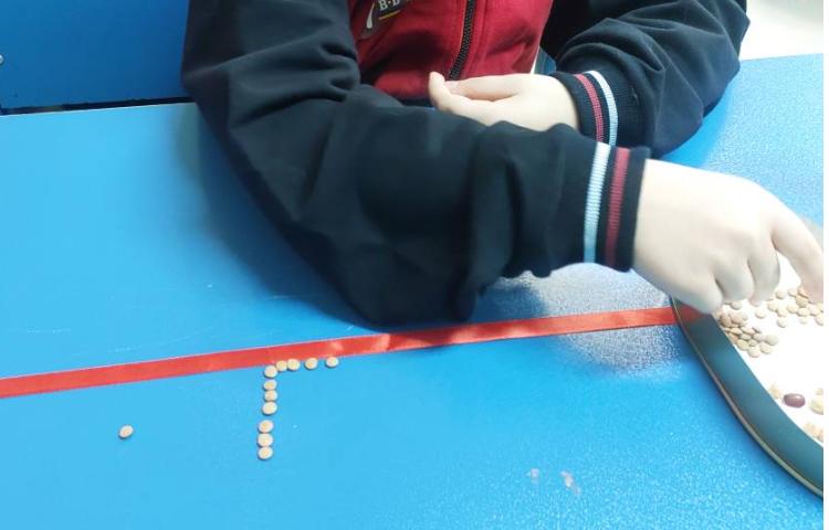 لوحه نویسی با حبوبات