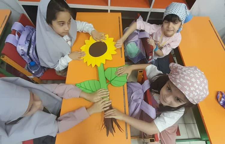 ماجراجوی دانا 1