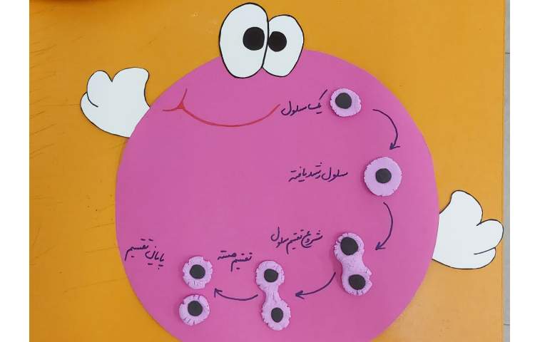 ماجراجوی دانا 1