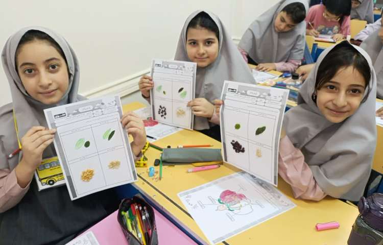 ماجراجوی دانا 1