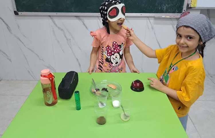 ماجراجوی دانا 1