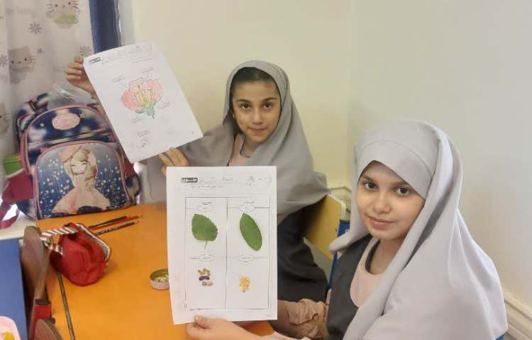 ماجراجوی دانا 1